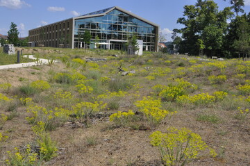 Der Alnatura Campus in Darmstadt ist ein Vorzeigebeispiel naturnaher und nachhaltiger Gestaltung. Dort wurden vorhandene Betondecken zu Bauteilen recyclet und auf dem Unterboden entstanden Retentionsbereiche, die mit  lokalheimischem Saatgut, das in einem nahen Naturschutzgebiet gesammelt wurde, eingest worden ist.