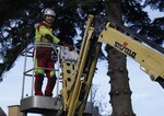Gerade in der Baumpflege und im GaLaBau sind Arbeitsschutzmaßnahmen notwendig.