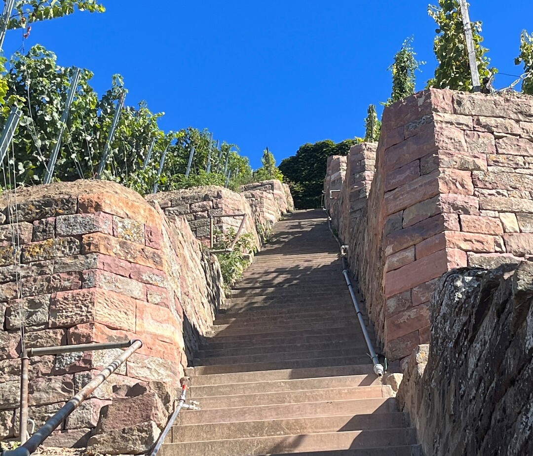Sieger in der Kategorie „Landschaftsarchitektur und Freiraumgestaltung“: Historische Weinbergmauern in Karlsruhe - Durlach von Agence Ter .de GmbH Landschaftsarchitekten.
