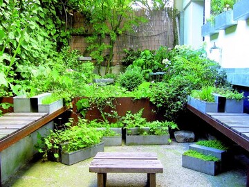 1. Preis: Naturnah gestalteter Hof in Paris