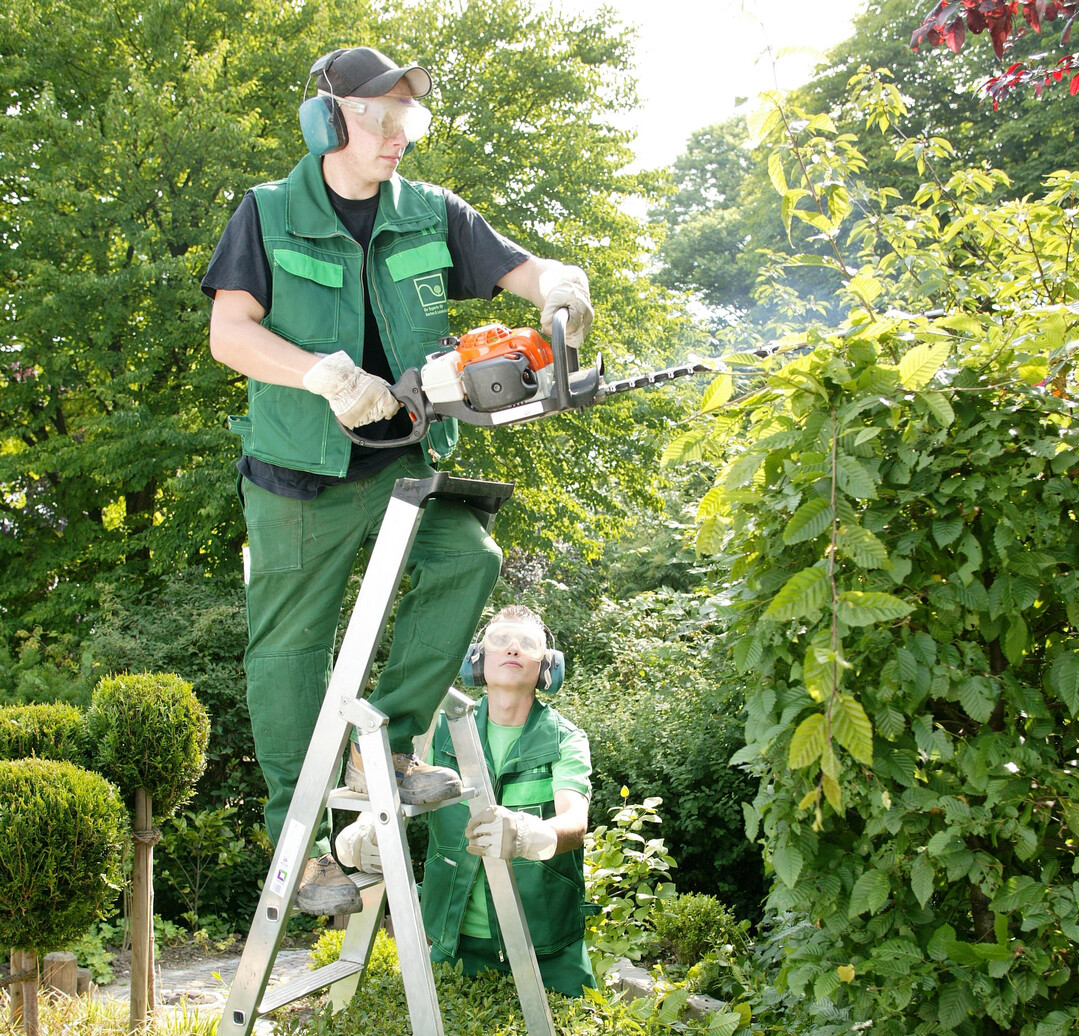 Die Preise fr Gartenpflege steigen  und immer mehr Gartenbesitzer halten ihr Geld zusammen.