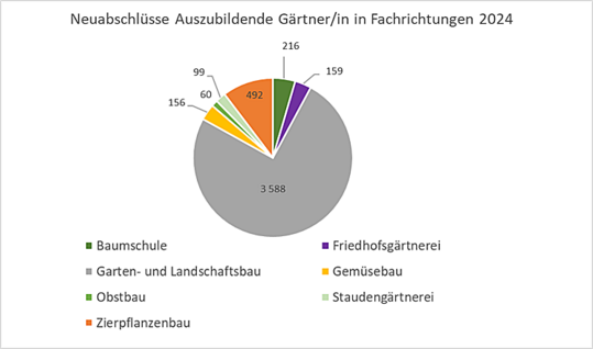 bersicht der Neuabschlsse Ausbildungsvertrge nach Fachrichtungen im Zeitraum 1. Oktober 2023-30. September 2024 laut BiBB-Statistik
