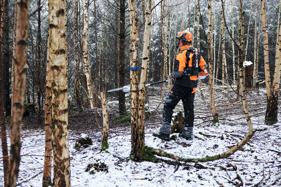 Die Forstpflegesäge HTA 150 ist das erste speziell für Pflegearbeiten im Wald konzipierte Akku-Gerät von Stihl. Die leistungsstarke Forstpflegesäge lässt sich exakt führen und ermöglicht Profis im Forst in Kombination mit dem Forstgurt ADVANCE X-TREEm HT eine kräfteschonende Jungbestandspflege in aufrechter Haltung.