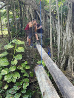 Am Ende reichten vier Leute, um die aufgehängten Stämme auf die andere Bachseite zu wuchten.
