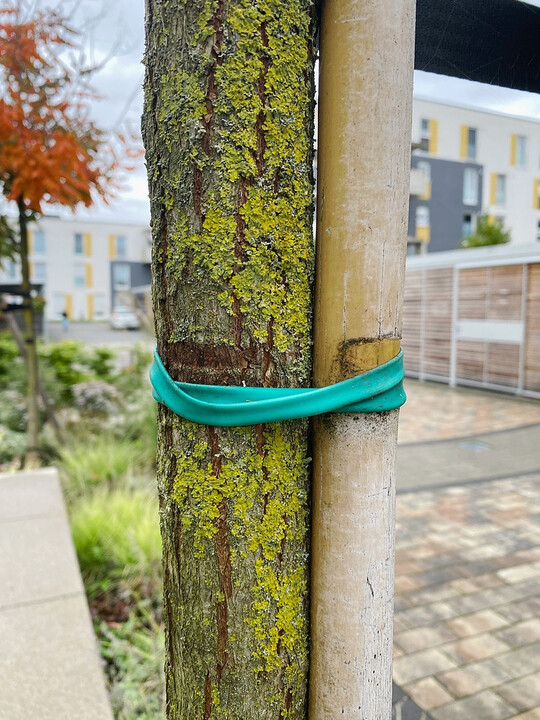Die Stbung hinterlie inzwischen ihre Spuren.