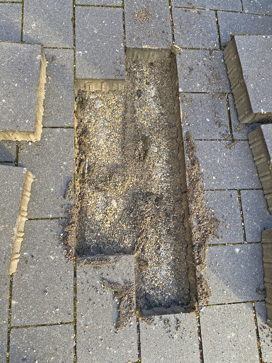 Das Fugenmaterial ist bereits in die Bettungsschicht abgewandert.