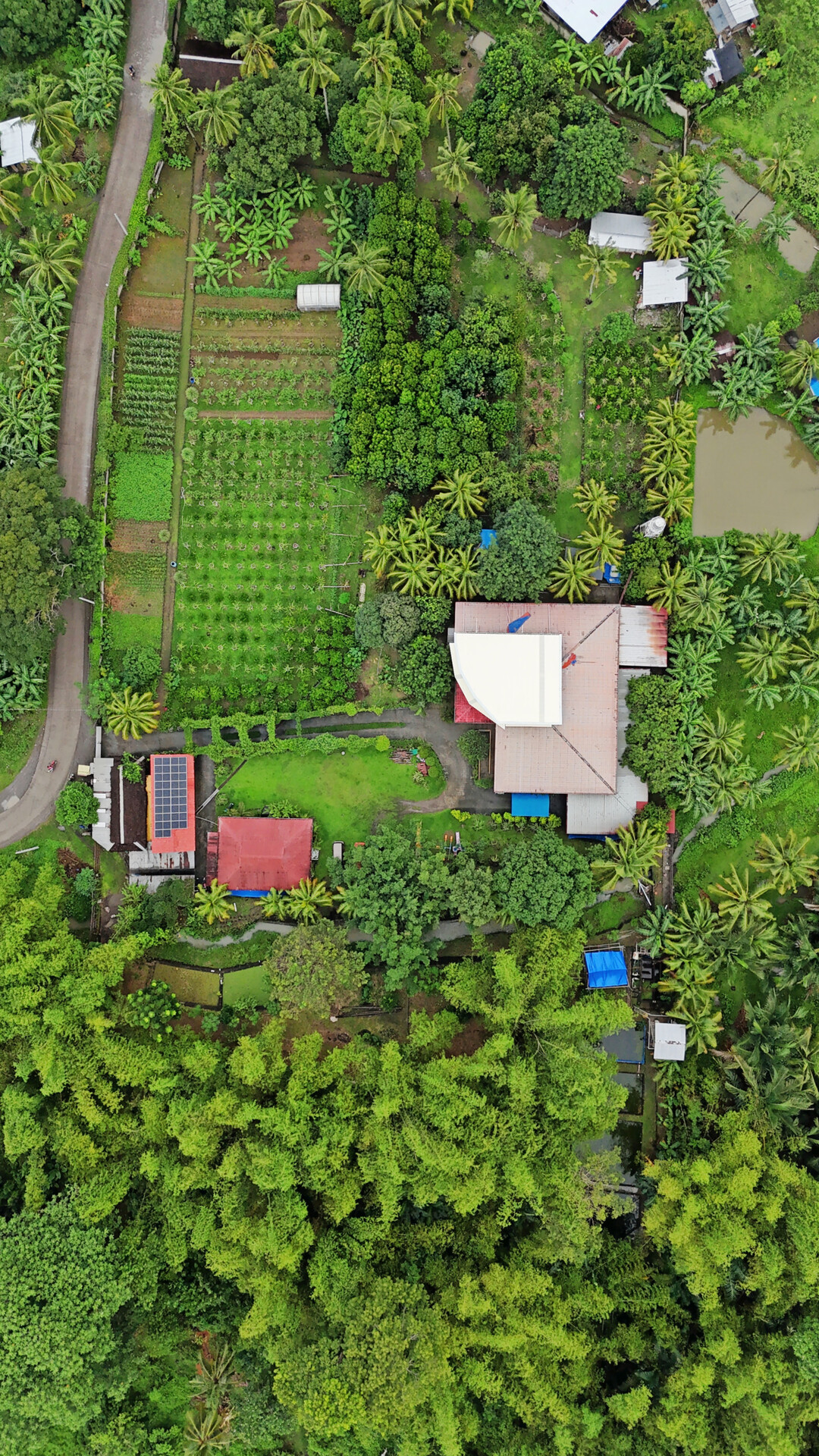 Der groe Garten enthlt zahlreiche Kulturen, um die Mdchen und das Personal zu versorgen. Kokosnsse, Bananen, Mangos, Kakao, Rambutan, Drachenfrchte und Calamondin wachsen im Tropenklima.