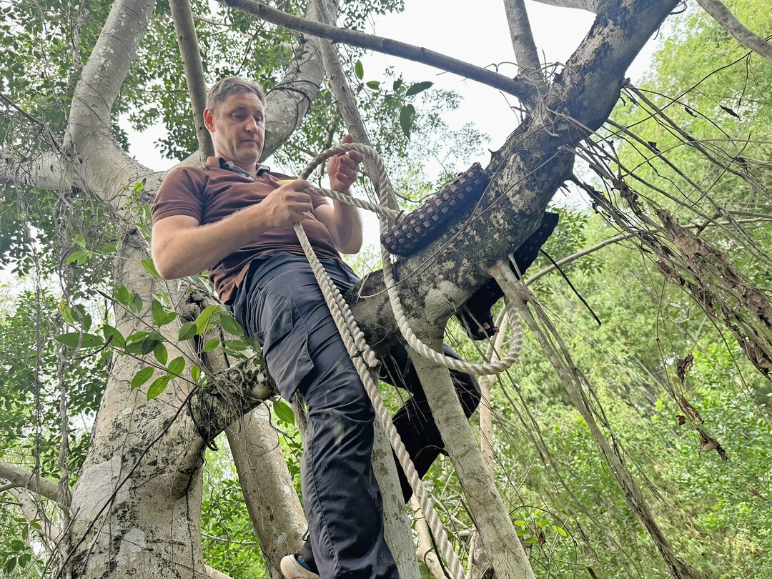 Mit einer Seilwinde an der Birkenfeige wurden die Masten ber den Bach gehoben. Matthias bereitet die Aufhngung vor.