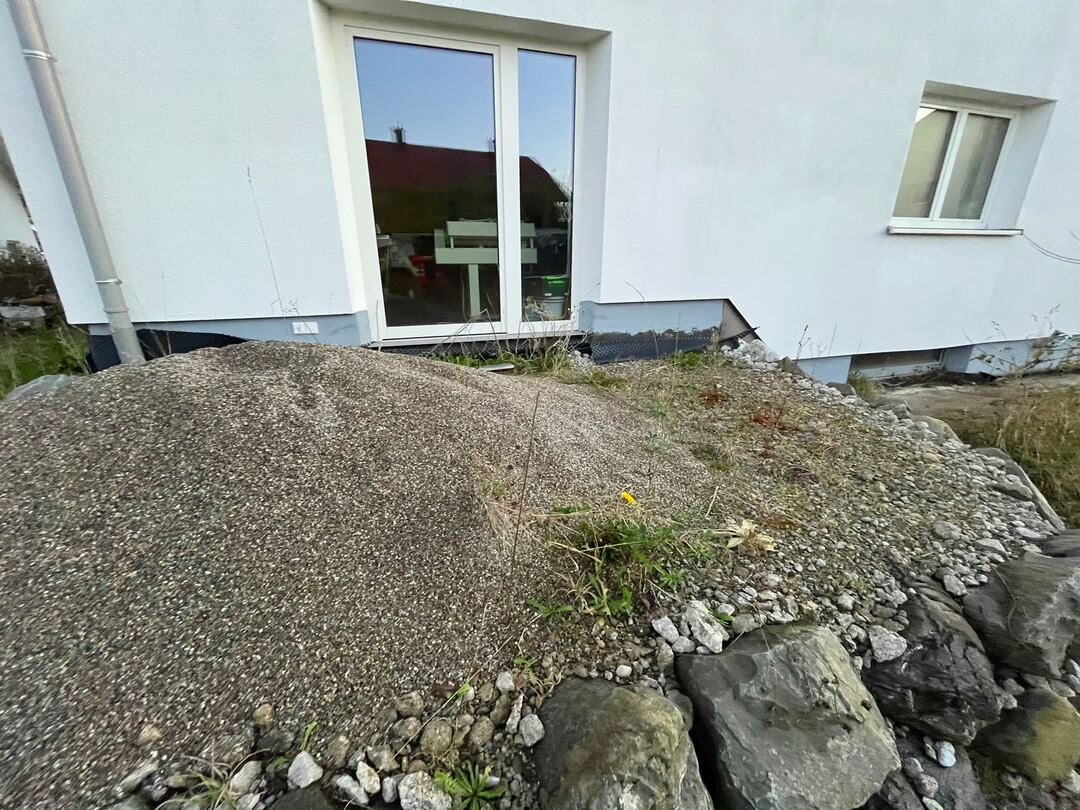 Am Anfang war nur Wste.