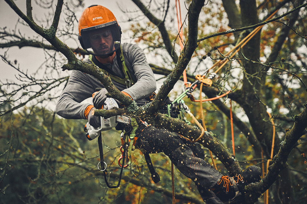 Der STIHL GTA 40 ist der erste Gehölzschneider im STIHL Portfolio für professionelle Anwendung. Er verbindet geringes Gewicht und kompakte Bauform mit hoher Schnittleistung und ermöglicht die Baum- und Gehölzpflege am Boden genauso wie Pflege- und Korrekturschnitte im Baum durch kletternde Baumpfleger.