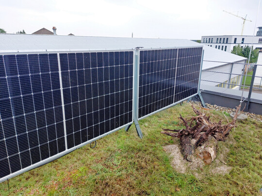 Die bifazialen (beidseitigen) PV-Module auf dem Gründach der Firma Wagner in Straubenhardt dienen als Anschauungsobjekt für die Kombination von Gründach und PV-Anlage.