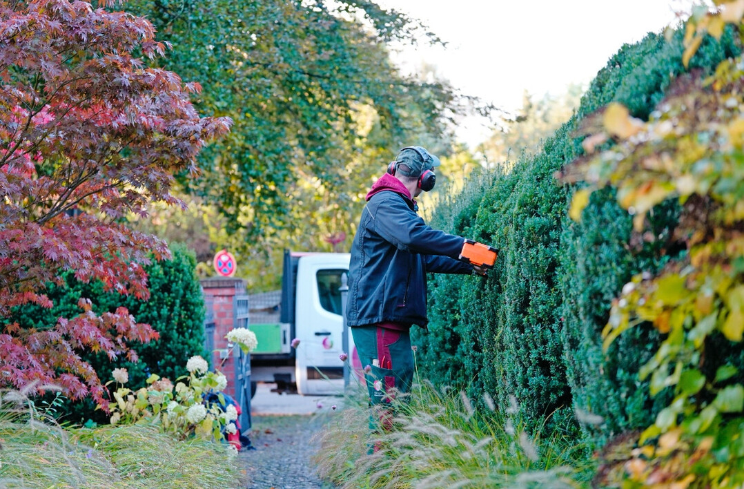 Aber auch die Pflegeleistung wird bei Krukenberg gro geschrieben.