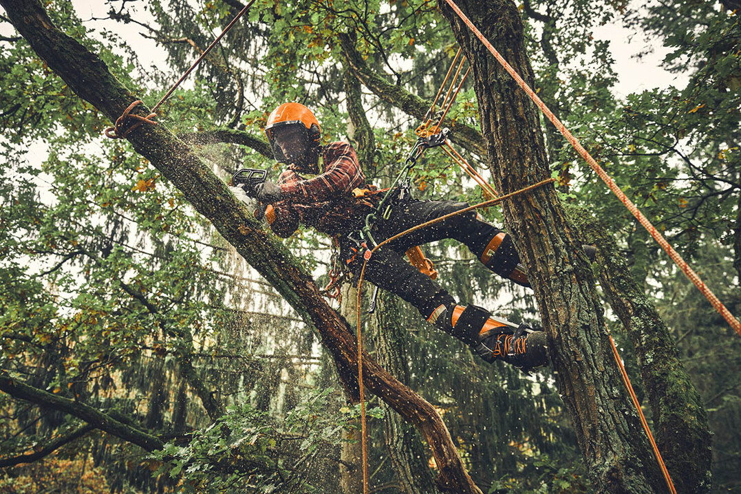 Ob im Baum oder von der Hubarbeitsbhne aus: Dank ihrer schnellen Beschleunigung und einer Kettengeschwindigkeit von bis zu 16 m/s sind Pflege- und Korrekturschnitte mit der kompakten und leichten STIHL MSA 190 T schnell erledigt
