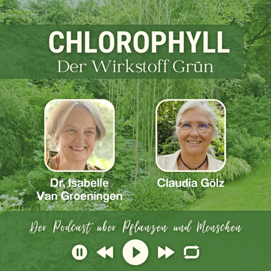 Chlorophyll