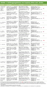 Tabelle
1: Sichtungsergebnisse im Detail