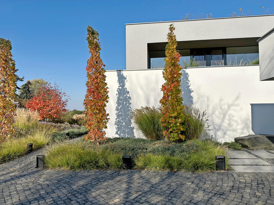 Gartenprojekt in Dresden-Gompitz