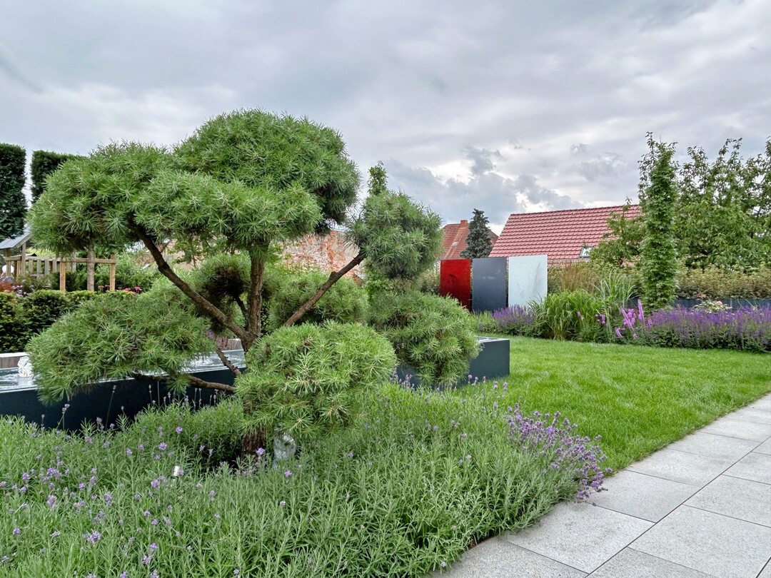 Privatgarten in Pirna