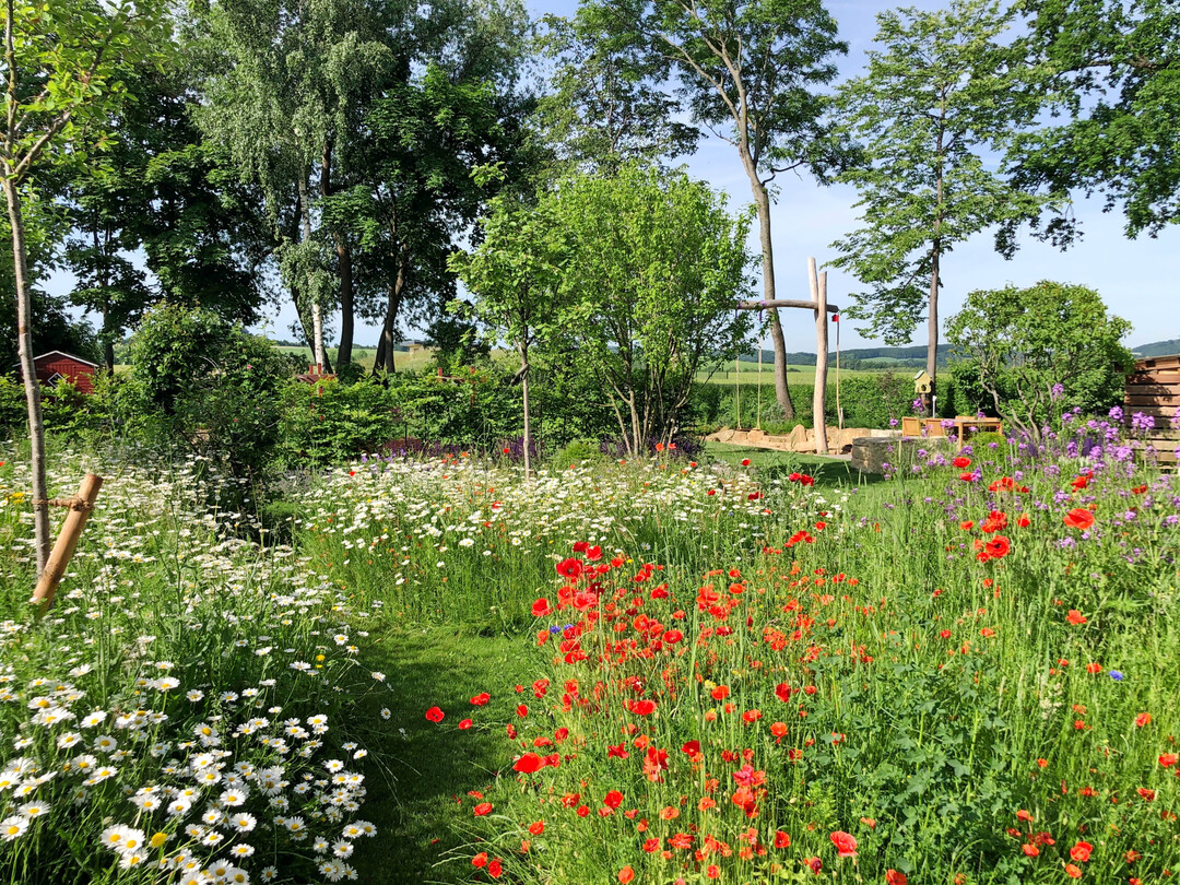 Im Garten der Familie Kahsnitz geht es bisweilen bunt zu.