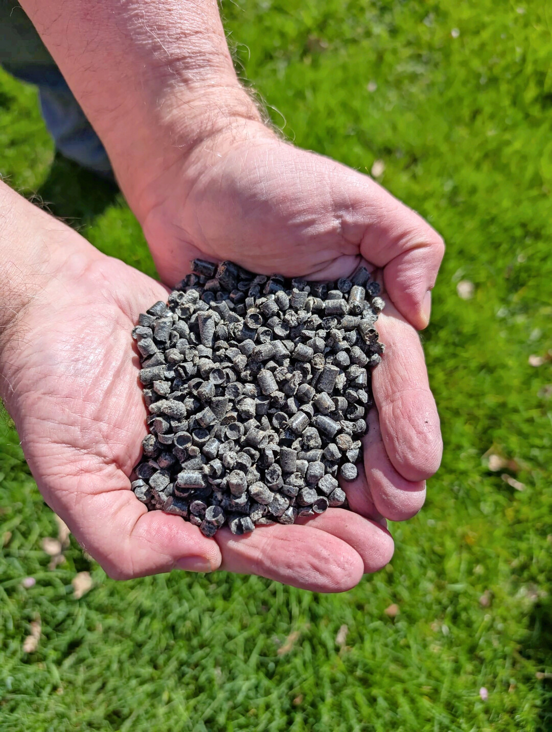 Aus Holzfasern gewonnene Pellets werden von GaLaSelect als Proplantis vertrieben.