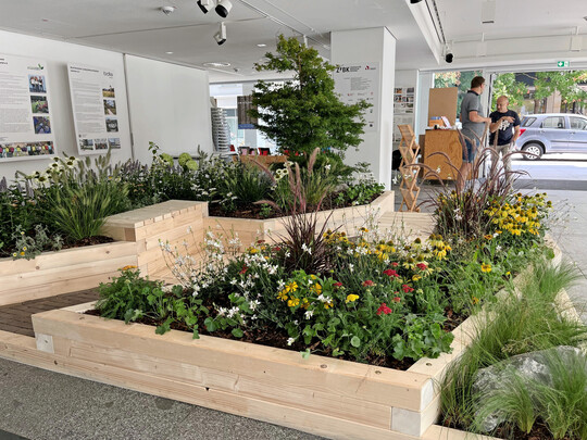 Der Mustergarten, der 2024 im Zentrum für Baukultur vom VGL Sachsen für eine Ausstellung errichtet worden war, wird zur GALK-Konferenz wieder aufgebaut.