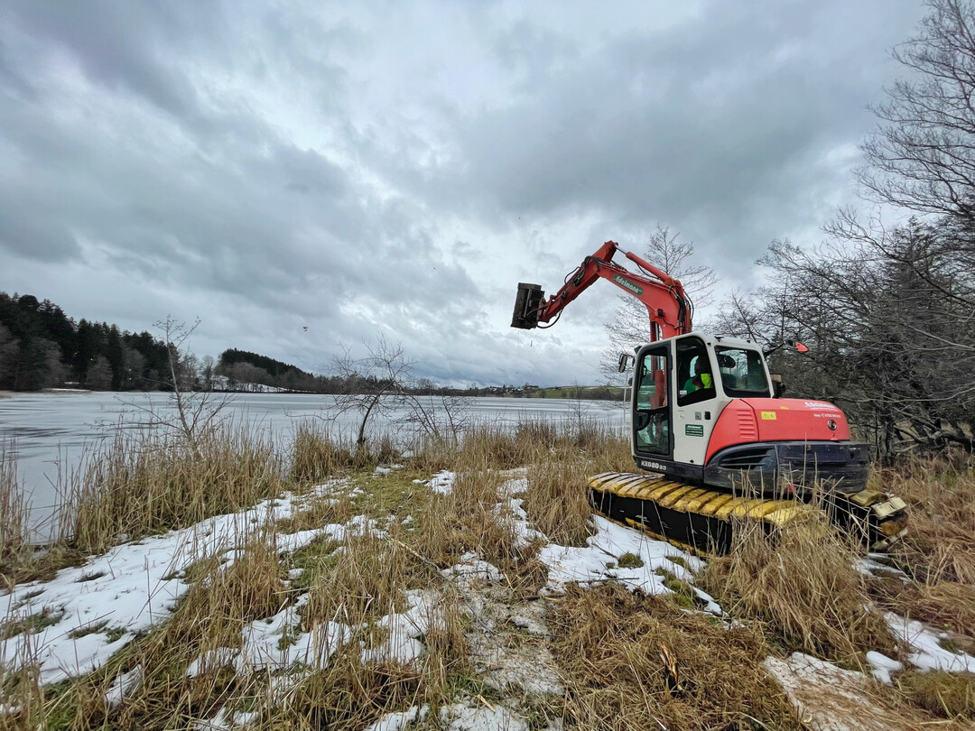 Fr die Arbeit im Moor arbeitet der Bagger mit Grundketten und Kunststoffplatten, um den empfindlichen Boden zu schonen und nicht einzusinken.
