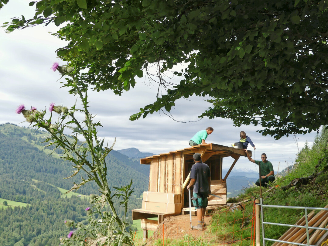 Fr die Schafe wurde auf dem Berg ein Unterstand gebaut.