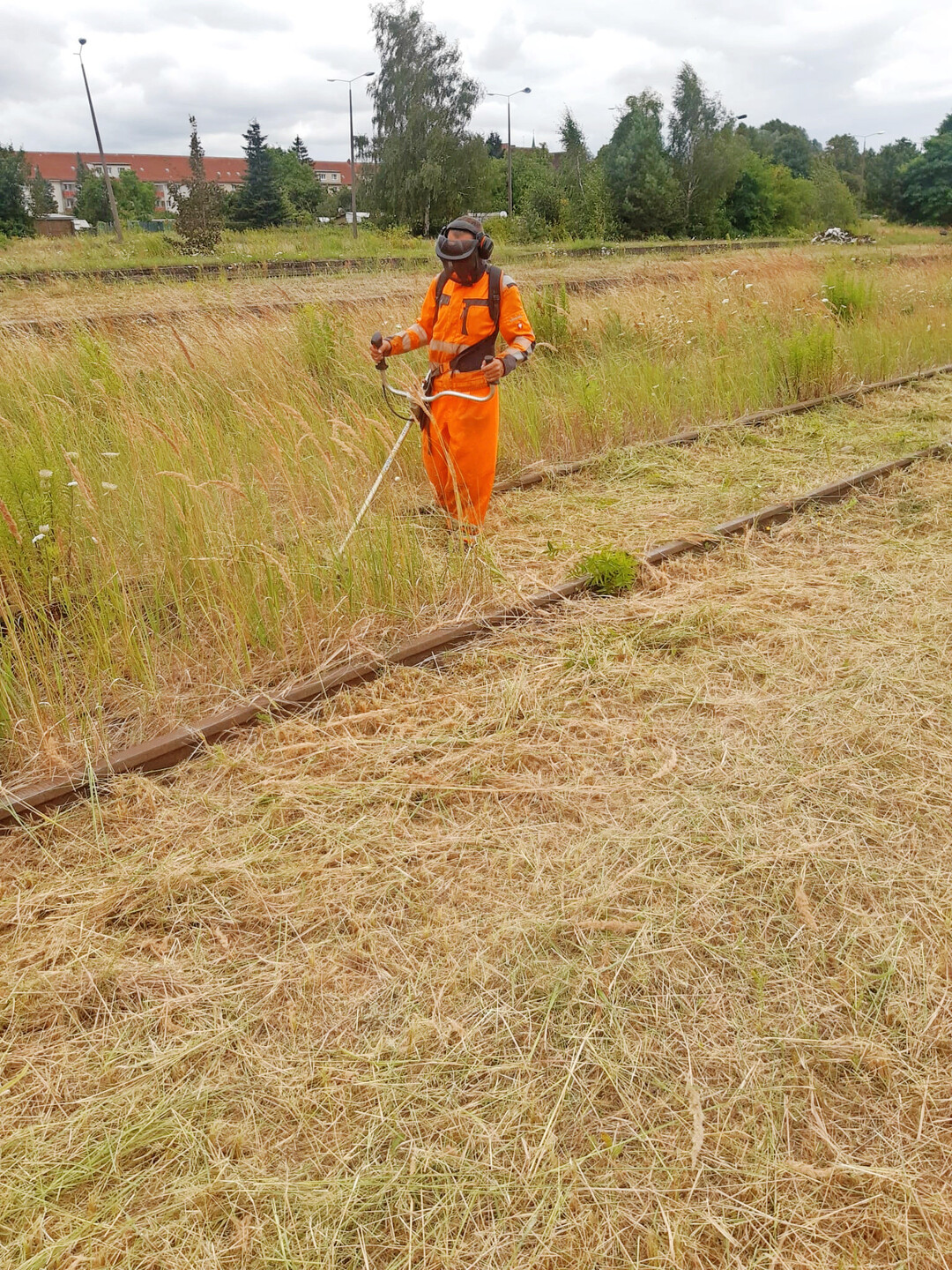 Auch naturnahe Pflegeleistungen im Bereich von Gleiskrpern werden im Auftrag einer Bahntochter erbracht.