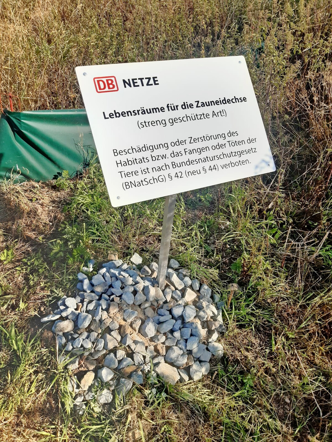 kosystemleistungen fr eine Bahntochter machen einen groen Teil des Umsatzes aus.