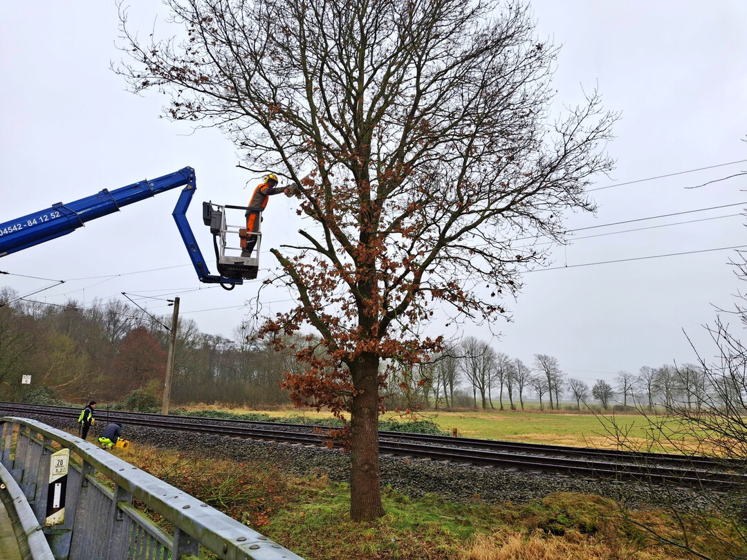 Baumschnittmanahmen finden manchmal im direkten Gleisbereich statt.