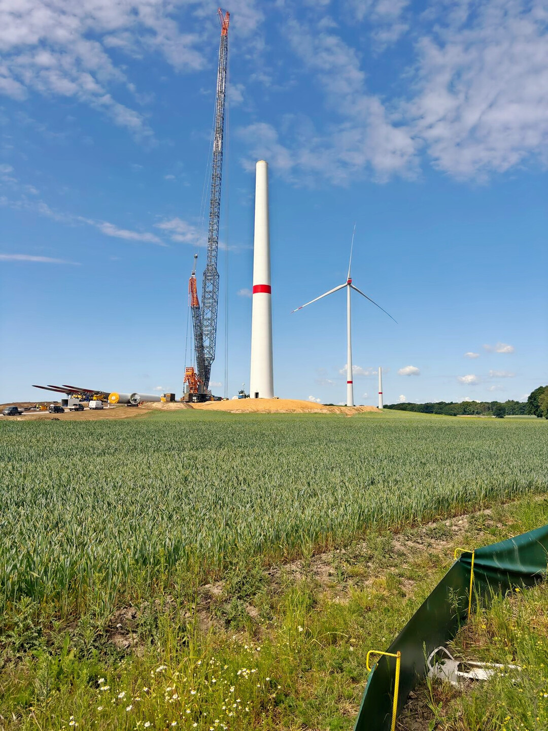 Auch im Zuge des Windkraftausbaus fhren die Kallweits Schutz- und Ausgleichsmanahmen durch.