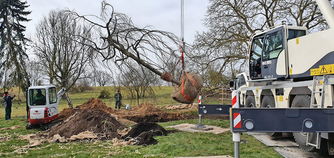 Das Pflanzen von Bumen liegt Kallweit besonders am Herzen.