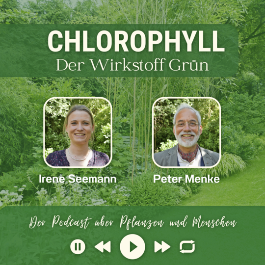 Podcast Chlorophyll