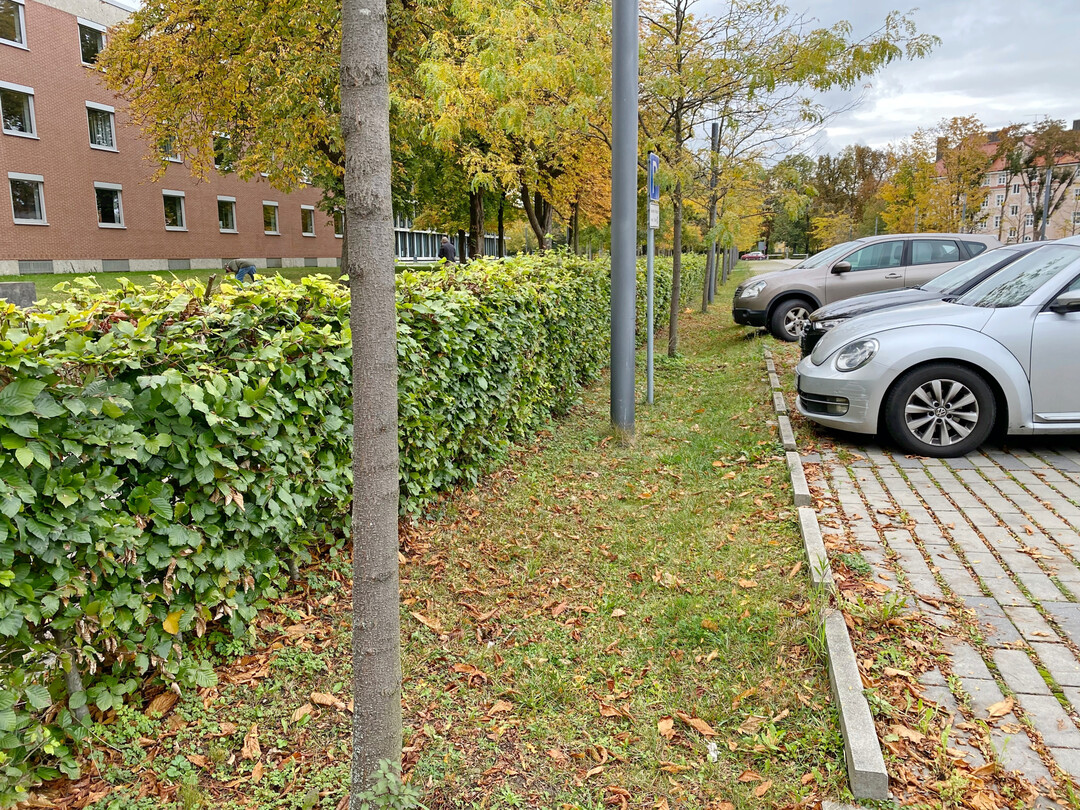 Eine Kombination aus begrnten Fugen und angrenzenden bepflanzten Senken entwssert diesen Parkplatz im niederbayerischen Landshut.