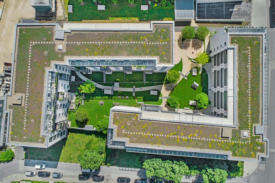 Flachdcher knnen einen noch greren Beitrag zur Retention im Quartier leisten, wenn sie klug geplant werden.