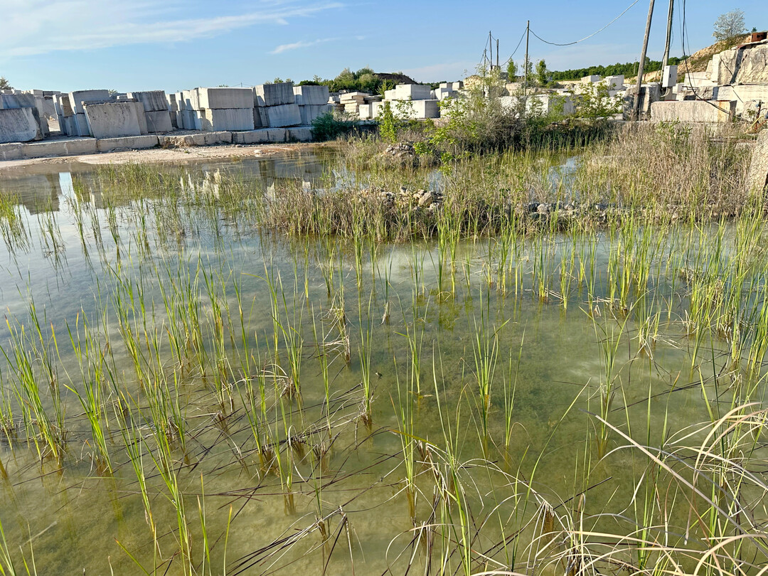 In Kanfanar warten Tausende von Natursteinblcken auf die Weiterverarbeitung.