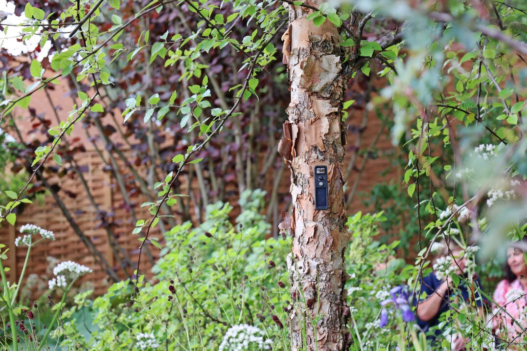 The Avanade Intelligent Garden