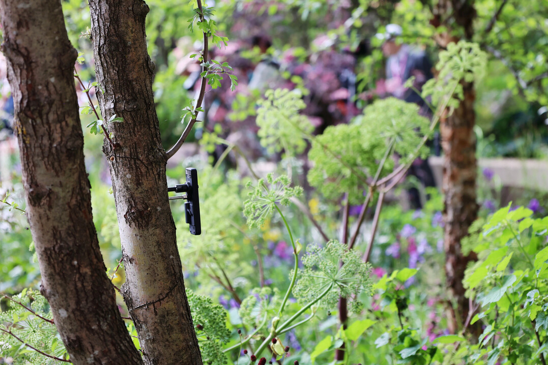 The Avanade Intelligent Garden
