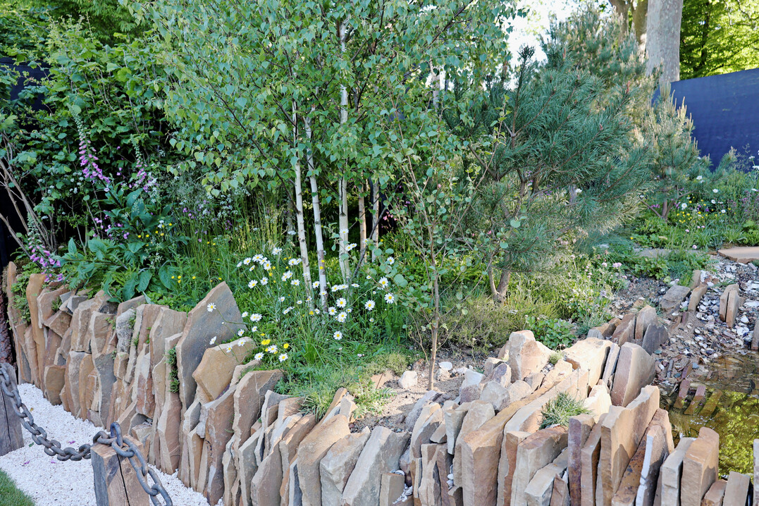 Seawilding