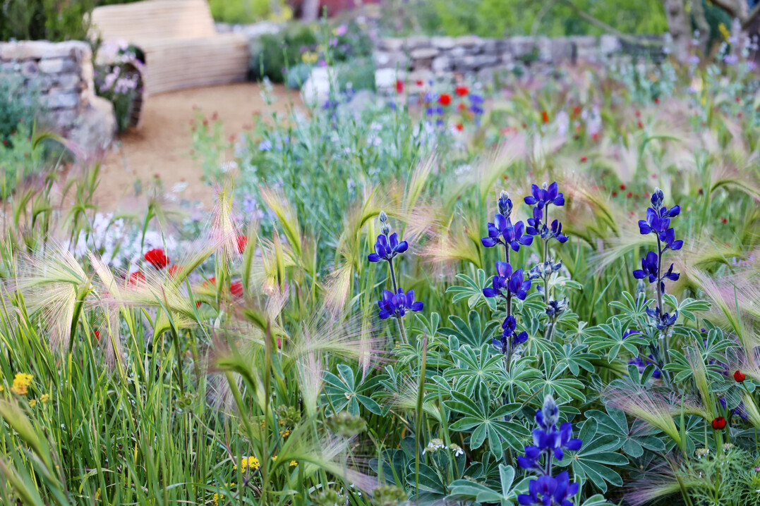 Hospice UK Garden of Compassion