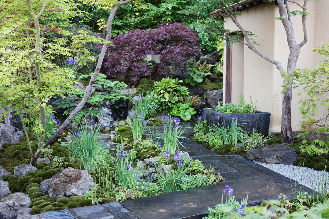 Cha No Niwa  Japanese Tea Garden