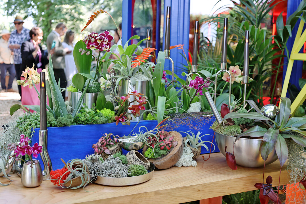 Babylon Beats Houseplants