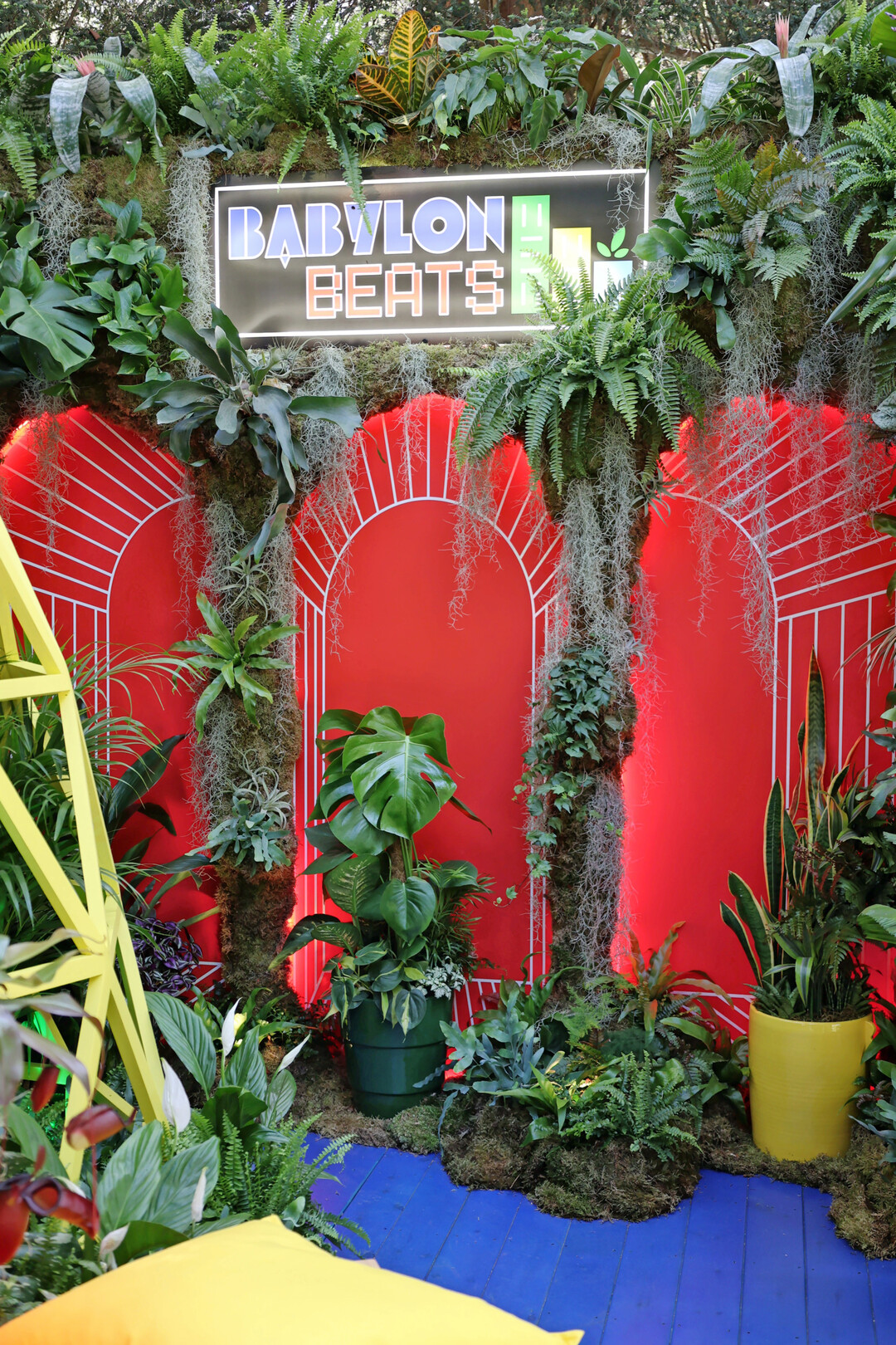 Babylon Beats Houseplants
