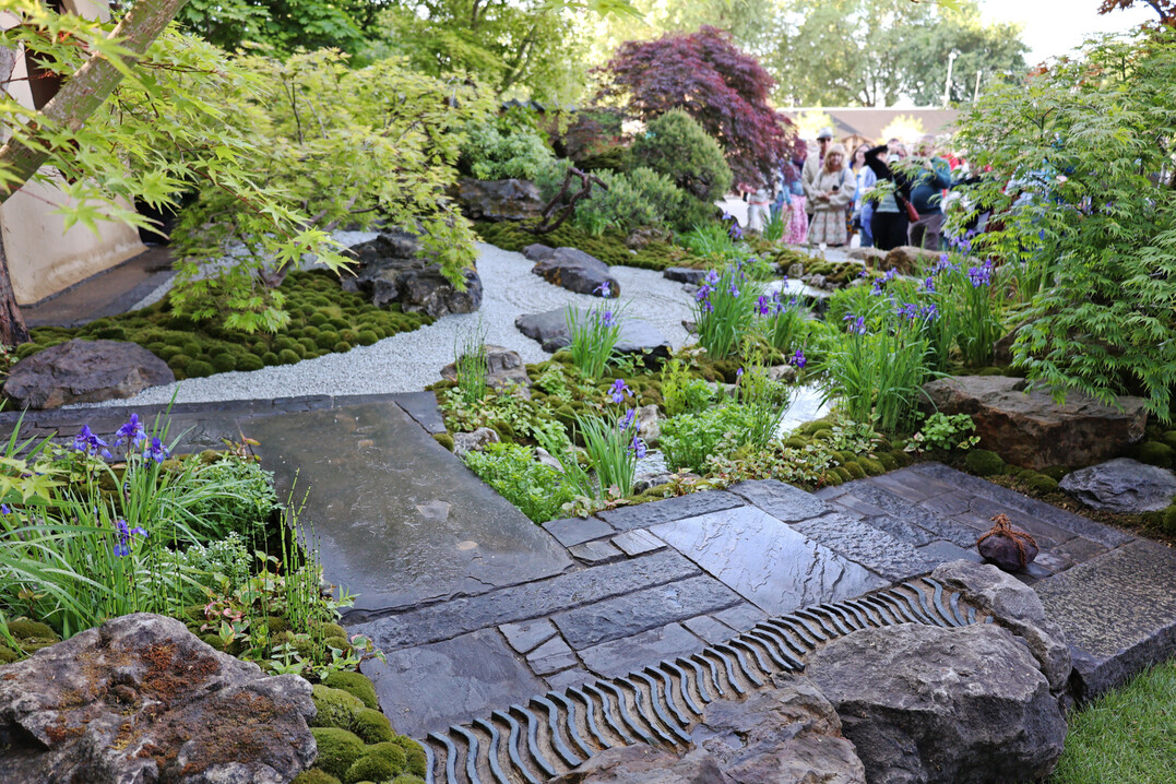 Japanischer Garten auf der Chelsea Flower Show 2025
