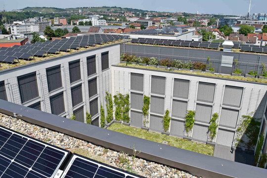 Begrnte Dcher und Fassaden verbessern das energetische Verhalten von Gebuden.