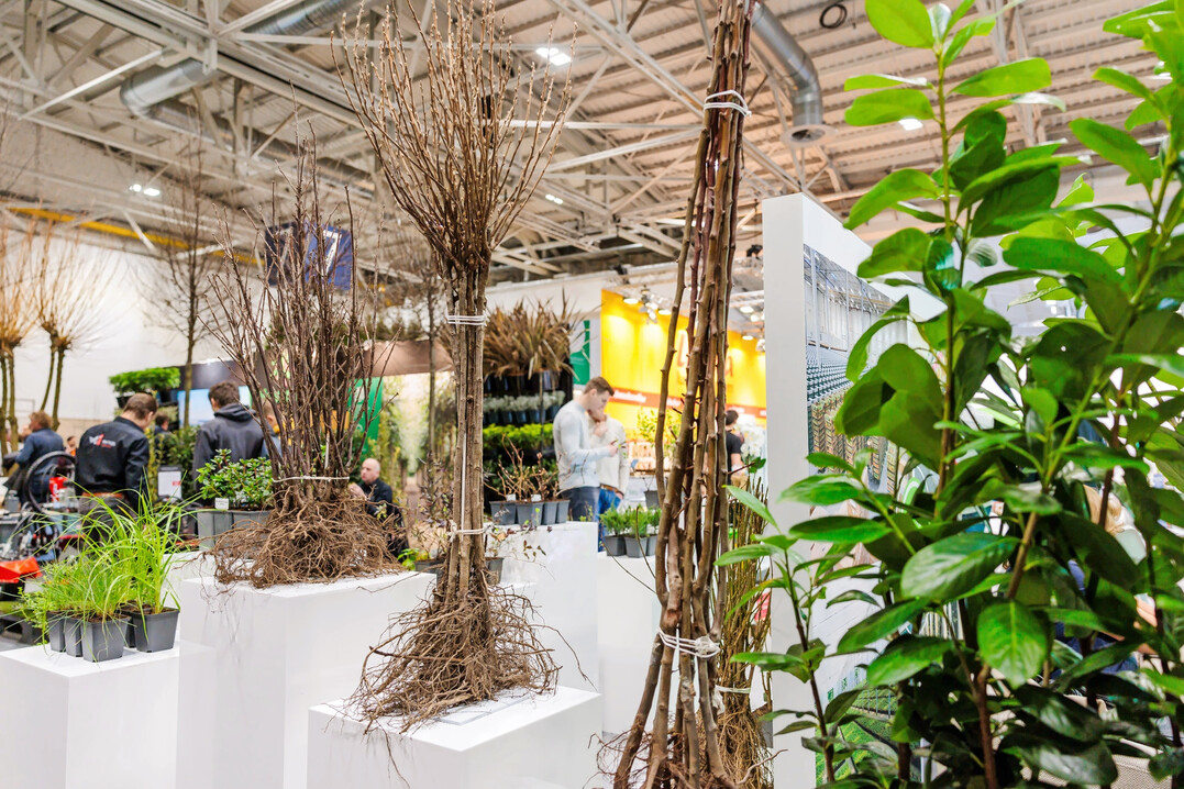 Unter dem Motto „Unendlich grüne Vielfalt“ präsentiert die IPM ESSEN vom 28. bis 31. Januar 2026 die gesamte Wertschöpfungskette der Branche.