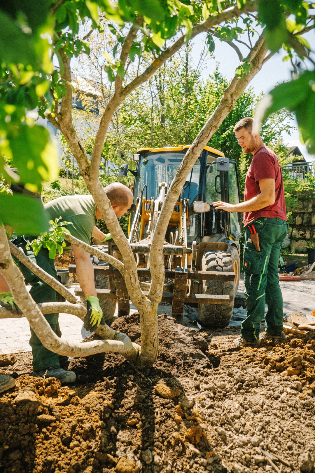 Immer steht die Pflanze im Mittelpunkt.