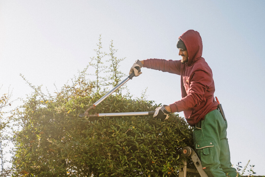 Auch die Pflege gehrt zu den Kernkompetenzen.