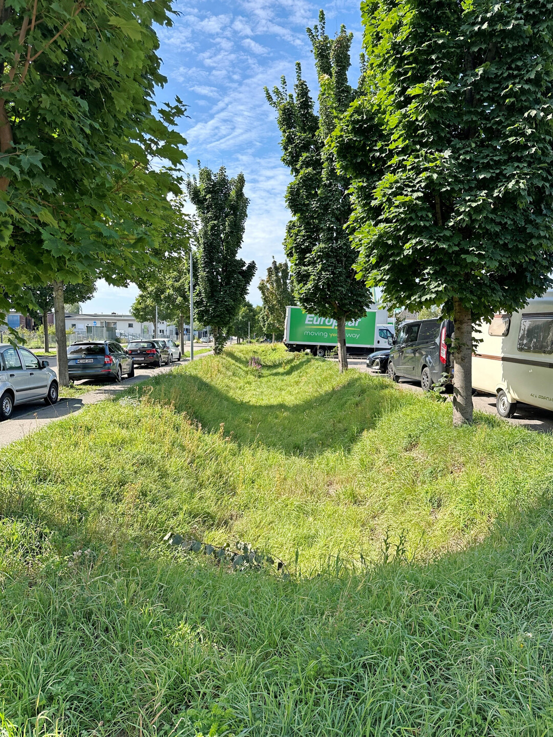 Die Schwammstadt hilft auch der Biodiversitt: innerstdtische Versickerungsmulde in Offenburg.