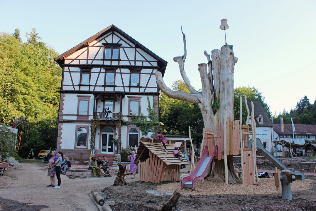 Aus der alten 
<i>Thuja </i>
wurde im Zuge des Projektes ein Spielplatz.