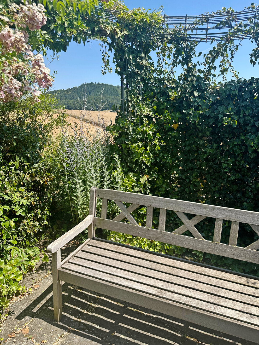 Vom Ende des Schaugartens schaut man bis in die Schweiz.